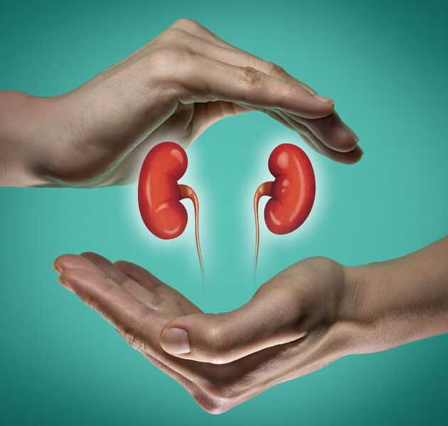Top 10 Most Common Questions About Kidney Transplants