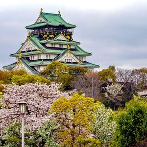 Exploring Medical Tourism in Japan
