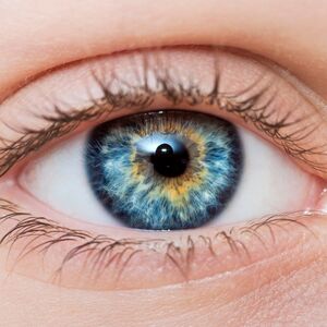 Medical Tourism for Eye Care: Vision Correction Procedures and Ophthalmology