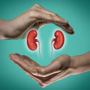 Top 10 Most Common Questions About Kidney Transplants